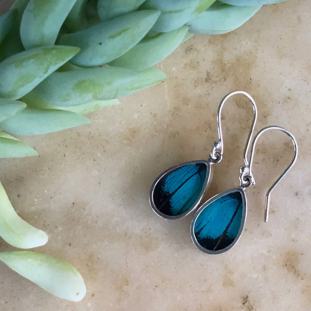 Prepona Three toned Butterfly Earrings