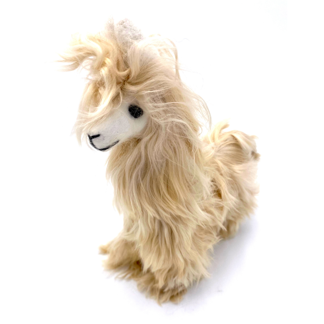 Funky Alpaca Suri