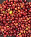 Everyday French Roast Dark Roast Ground Coffee 9oz Organic Equal Exchange