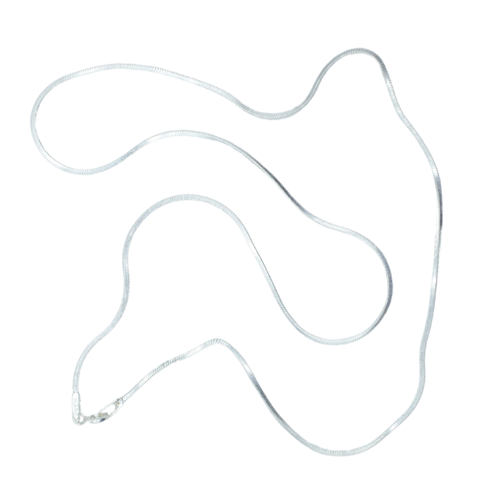 Shimmer Silver Chain Necklace