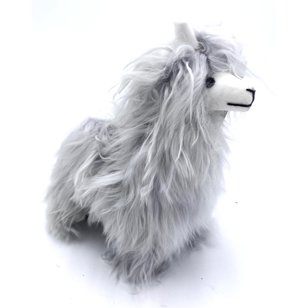 Funky Alpaca Suri