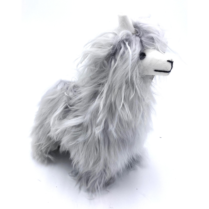 Funky Alpaca Suri