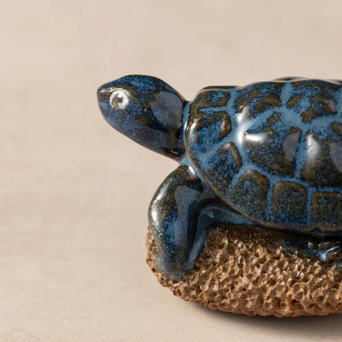 Turtle Pedicure Friend