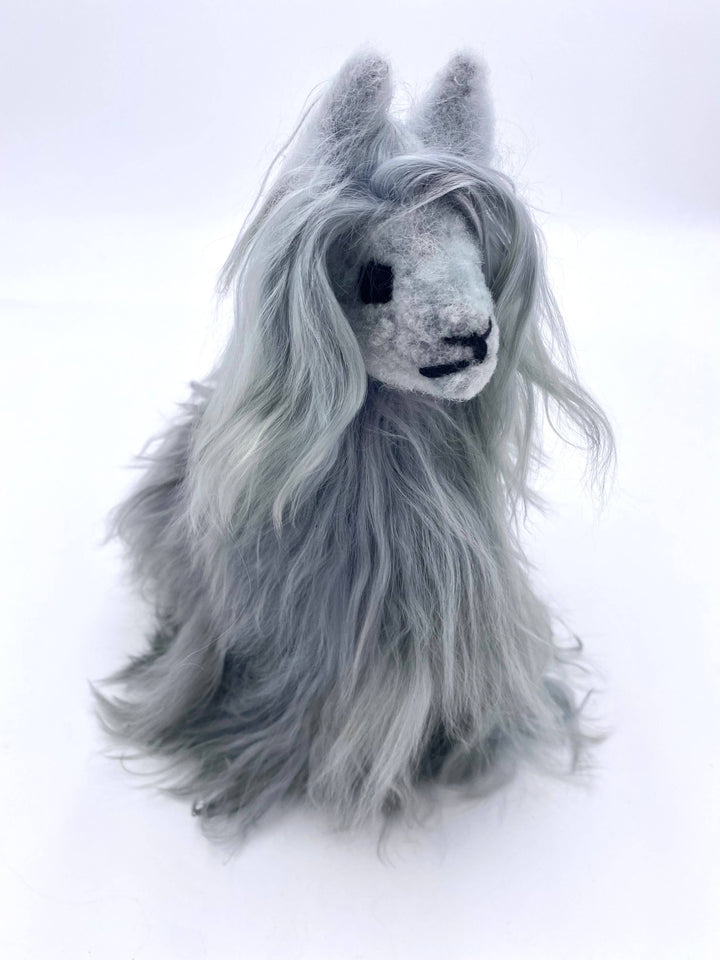 Funky Alpaca Suri