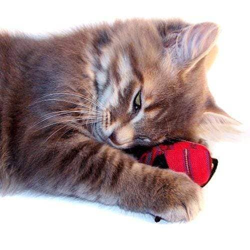 Catnip Mice Organic