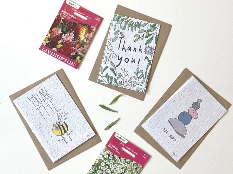 Assorted Greeting Cards made in India made out of recycled paper with flower seeds in the paper to plant and grow after gifting. 