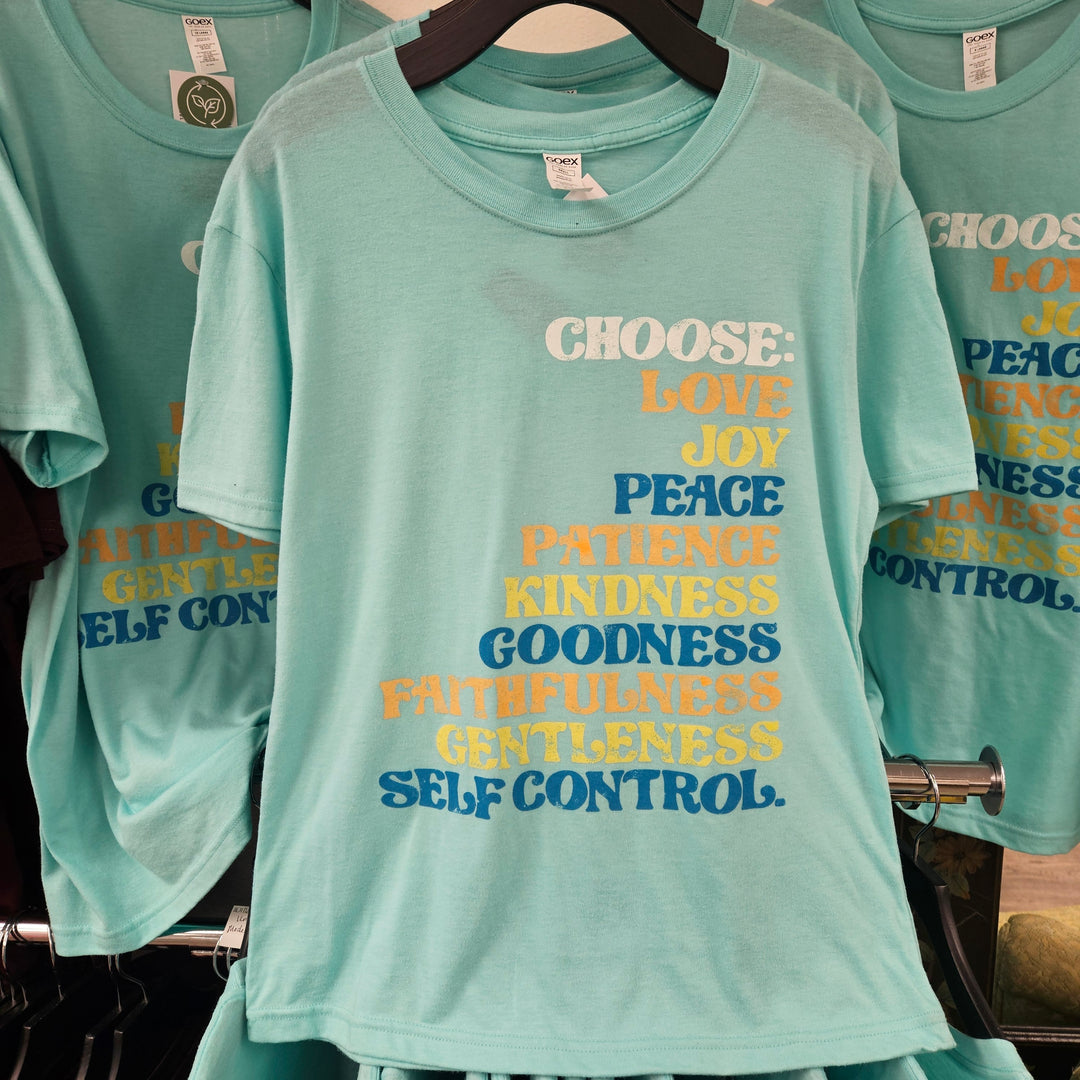Fruit of the Spirit Unisex Tee Teal