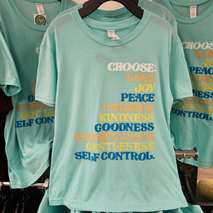 Fruit of the Spirit Unisex Tee Teal