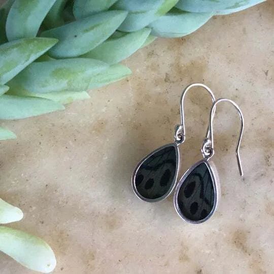A photo of butterfly jewelry ethically from the Amazon Rainforest in Peru. This jewelry is made from real butterfly wings and encased in sterling silver. These are leprieurs glory butterfly earrings. 