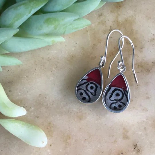 A photo of a pair of earrings made from real butterfly wings made ethically in Peru fair trade. 