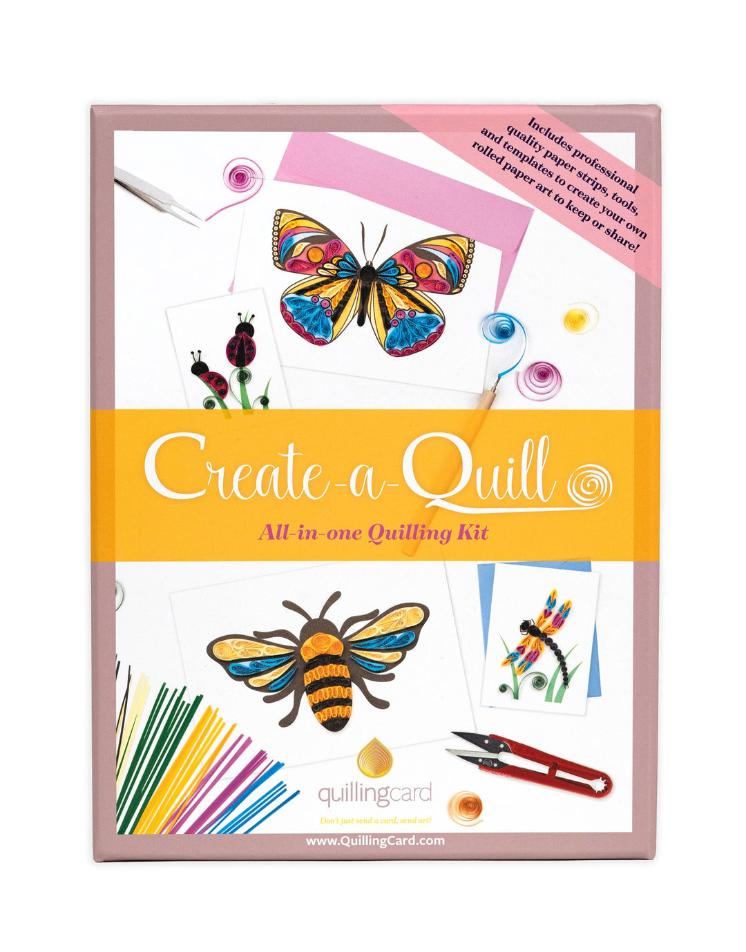 Create a Quill DIY Kit - Insects