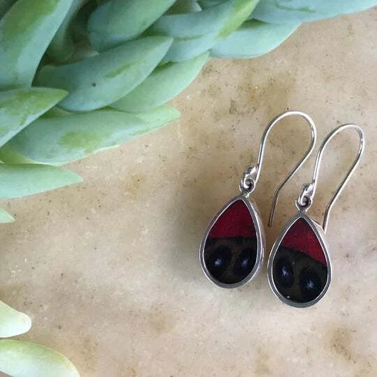A photo of butterfly jewelry ethically from the Amazon Rainforest in Peru. This jewelry is made from real butterfly wings and encased in sterling silver. These are claudina agrias earrings. 