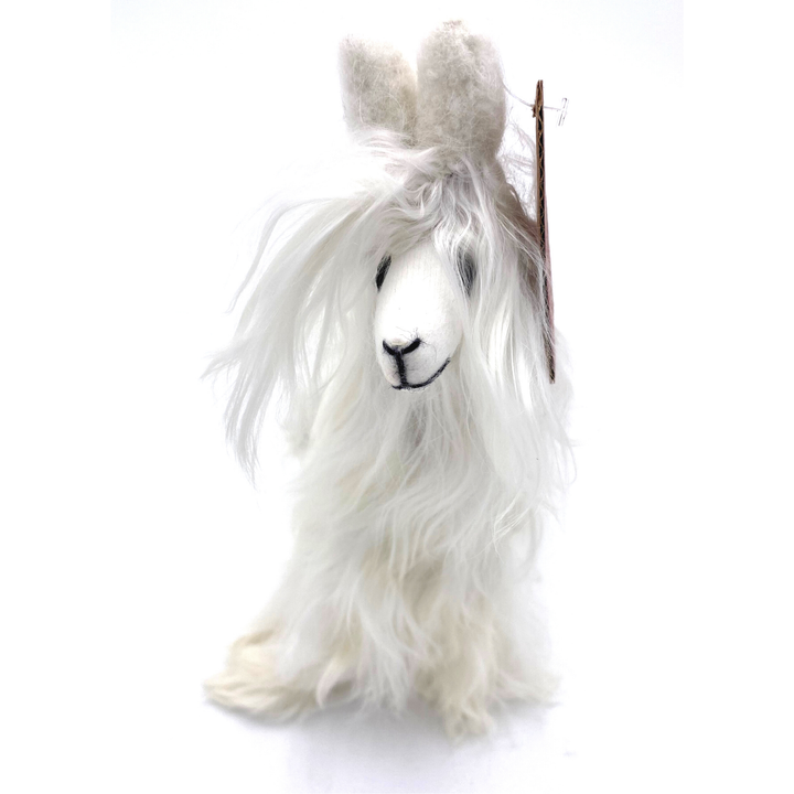 Funky Alpaca Suri