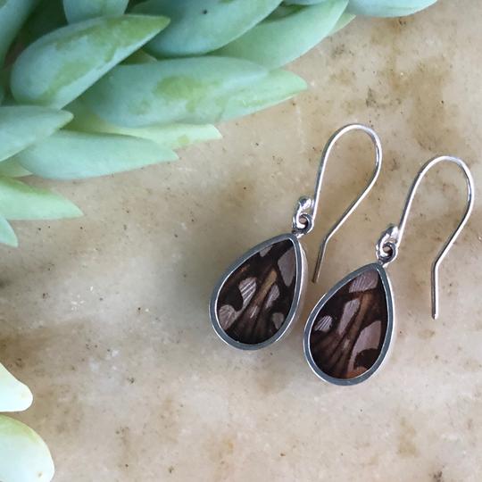 A photo of a pair of beautiful earrings made of Juno Butterfly wings ethically after butterfly has passed naturally. 