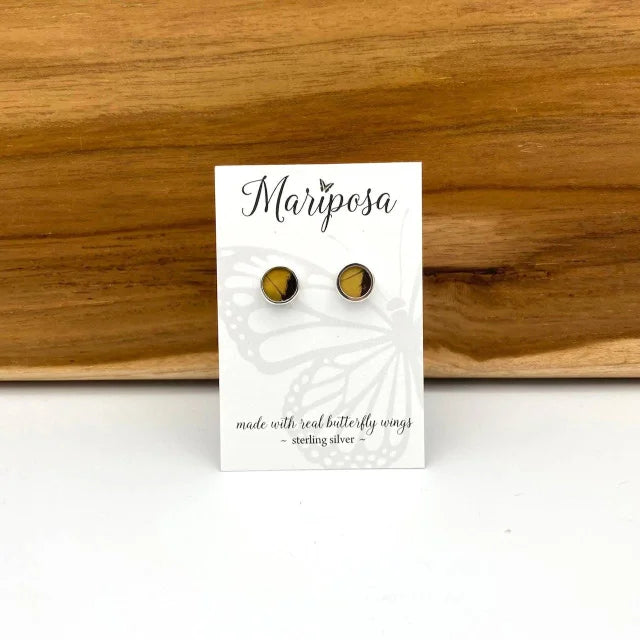 A photo of butterfly jewelry ethically from the Amazon Rainforest in Peru. This jewelry is made from real butterfly wings and encased in sterling silver. These are king swallowtail stud earrings.