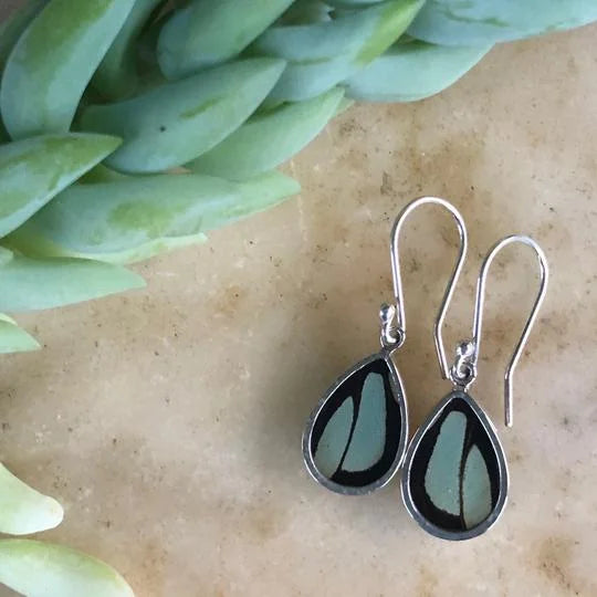 A photo of butterfly jewelry ethically from the Amazon Rainforest in Peru. This jewelry is made from real butterfly wings and encased in sterling silver. These are malachite earrings.