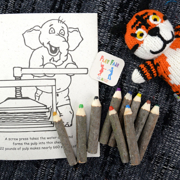 Mini Pine Crayon Bundle - Set of 10