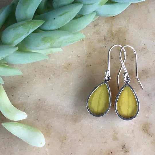 A photo of butterfly jewelry ethically from the Amazon Rainforest in Peru. This jewelry is made from real butterfly wings and encased in sterling silver. These are orange barred sulphur earrings.