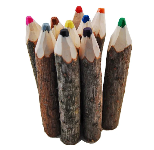 Pine Crayon Bundle Set of 10