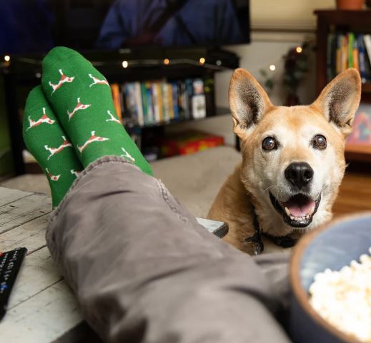 Socks that Save Dogs Conscious Step - Green
