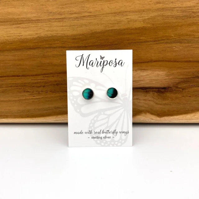 A photo of a pair of earrings that are made with real butterfly wings and sterling silver from Peru. This particular pair are circle sterling silver wrapped three-toned Prepona butterfly wing studs. The Three-toned prepona butterfly is a green turquoise and black ombre coloring. 